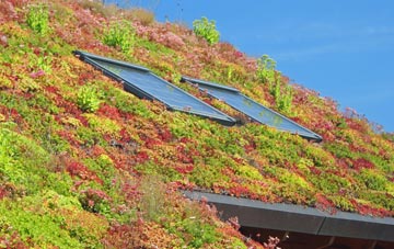 Four Mile Elm living roof systems