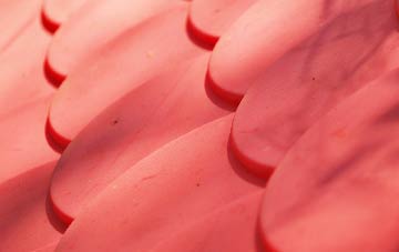 Four Mile Elm plastic roof costs